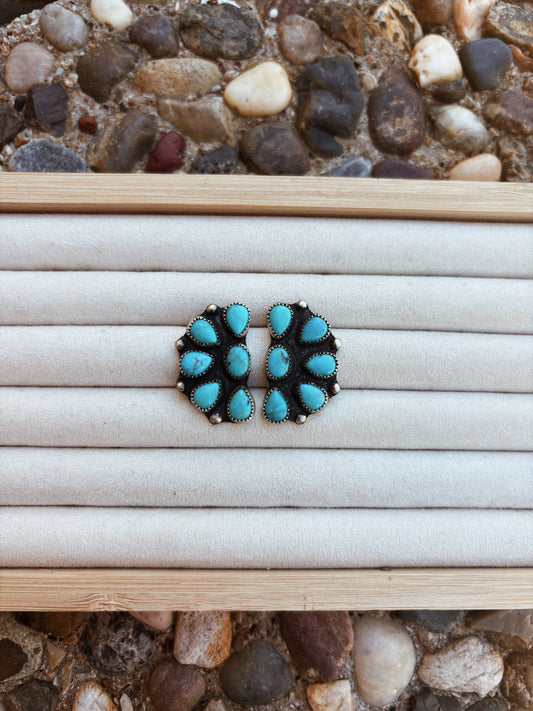 Rainbow Ranch Earrings